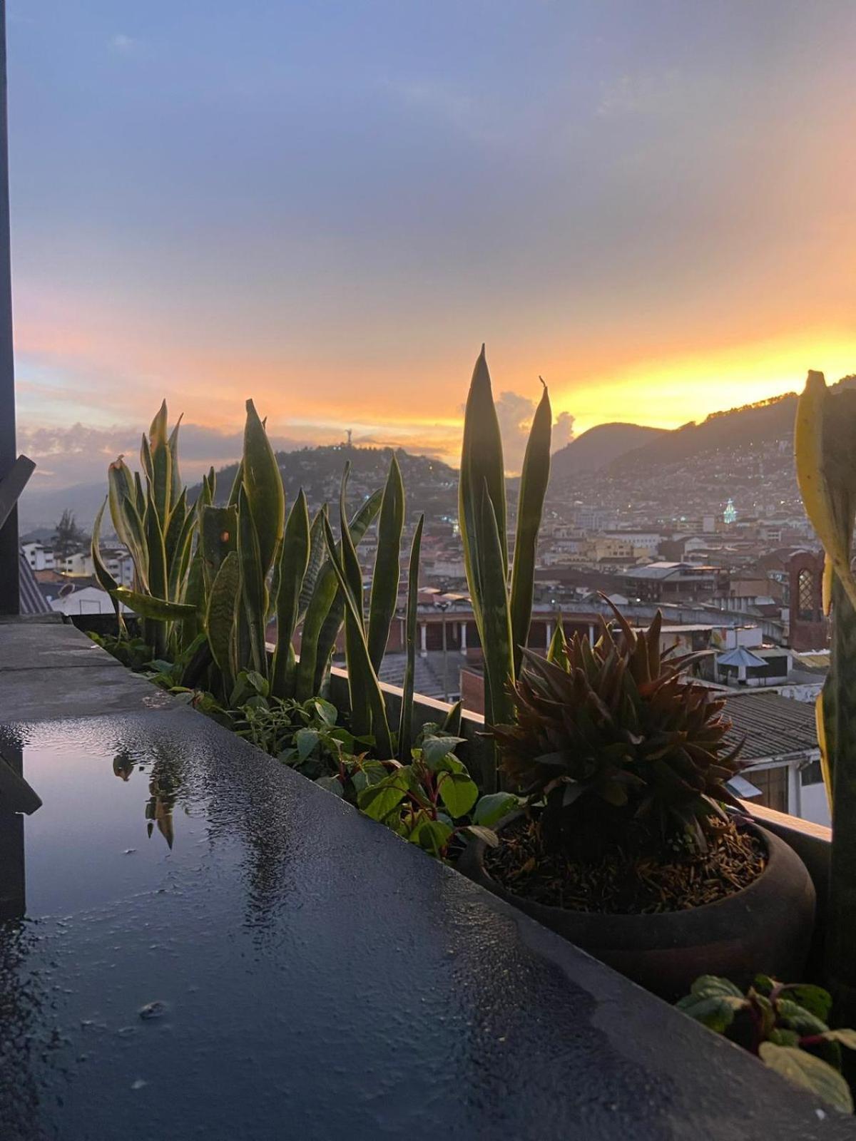 Hostal La Guayunga Rooftop Quito Exterior photo